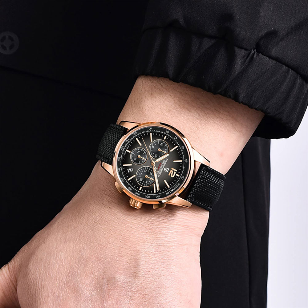 PAGANI DESIGN New Mens Watch 4 - Luxury Watch Safe 评论和价格