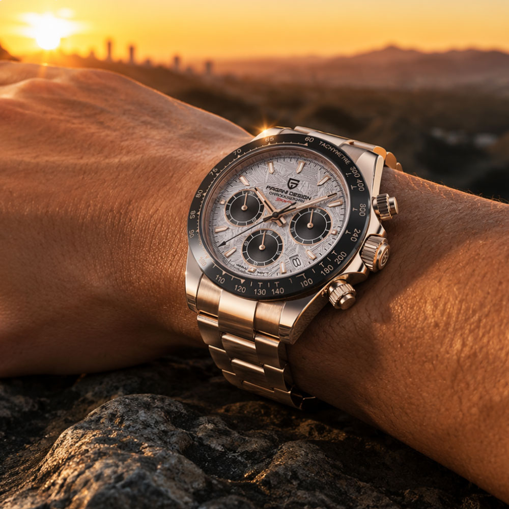 Top Brand PAGANI DESIGN Luxury - Luxury Watch Safe 评论和价格