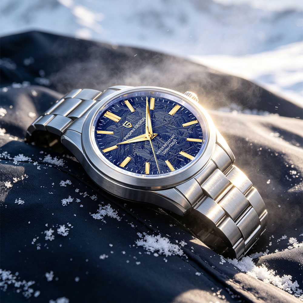 PAGANI DESIGN 40MM Men Quartz  - Luxury Watch Safe 评论和价格